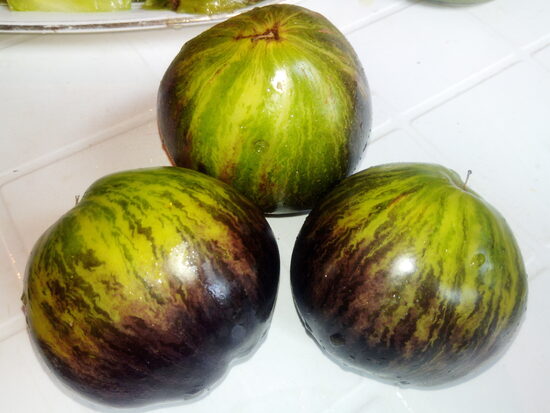 Мятежный звездный истребитель VT-16